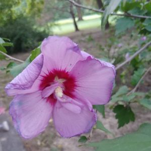 Meet your Posher, Olga